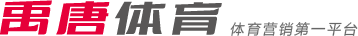 在足球世界